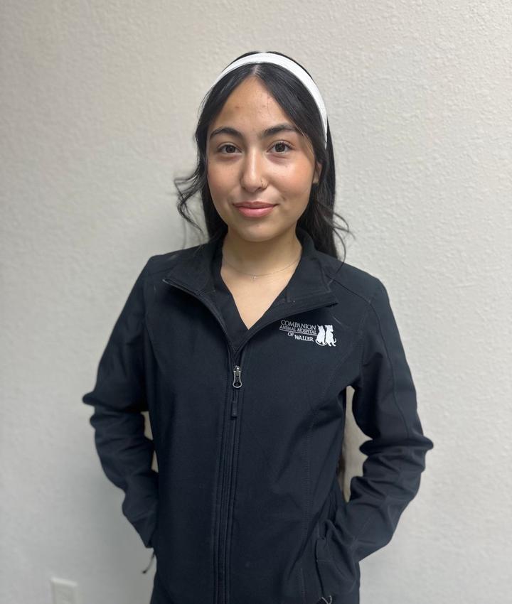 Portrait of Brooklyn