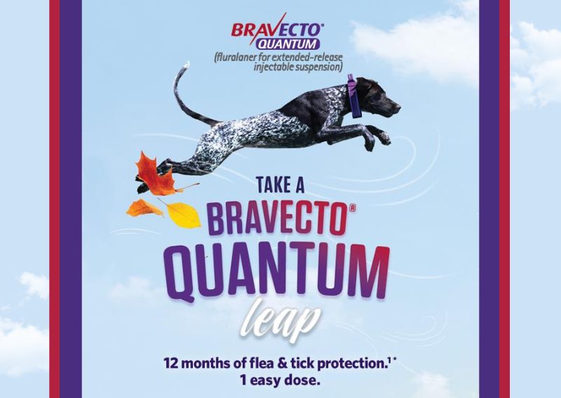 Carousel Slide 1: Learn More