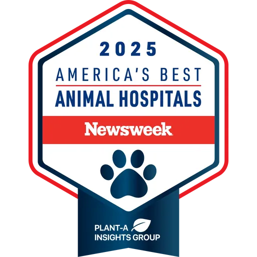 America’s Best Animal Hospitals